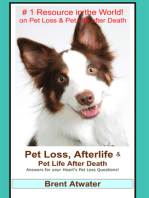 Pet Loss, Afterlife & Pet Life After Death: Answers for all your Heart's Pet Loss Questions