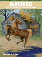 Annie: The Mysterious Morgan Horse: Morgan Horse, #5