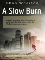 A Slow Burn