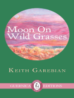 Moon on Wild Grasses