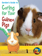 Gordon's Guide to Caring for Your Guinea Pigs