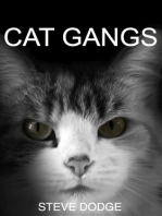 Cat Gangs