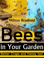 Bees in Your Garden
