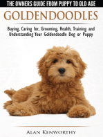 Goldendoodle: The Owners Guide from Puppy to Old Age - Choosing, Caring for, Grooming, Health, Training and Understanding Your Goldendoodle Dog
