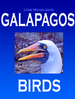 Galapagos Birds: Wildlife Photographs from Ecuador’s Galapagos Archipelago, the Encantadas or Enchanted Isles, with words of Herman Melville, Charles Darwin, and HMS Beagle Captain Robert FitzRoy