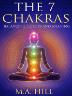 The 7 Chakras