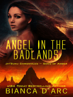 Angel in the Badlands