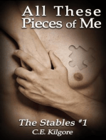 All These Pieces of Me