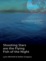 Shooting Stars are the Flying Fish of the Night