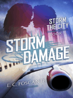 Storm Damage: Storm the City, Book Three