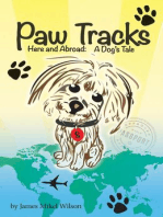 Paw Tracks Here and Abroad