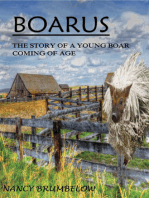 Boarus: The Story of a Young Boar Coming of Age