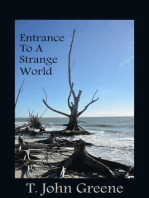 Entrance To A Strange World