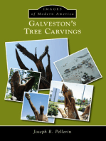 Galveston’s Tree Carvings