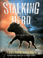 Stalking the Herd: Unraveling the Cattle Mutilation Mystery