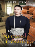 Lancaster County Second Chances 3
