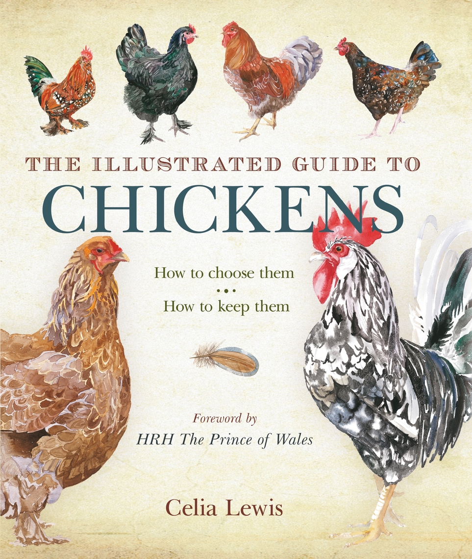 Read The Illustrated Guide to Chickens Online by Celia Lewis Books
