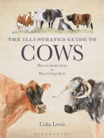 The Illustrated Guide to Cows: How To Choose Them - How To Keep Them