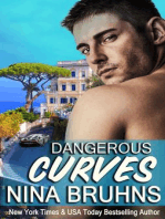 Dangerous Curves: a short-length contemporary romantic suspense novella: STORM Transporters, #1