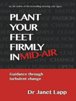 Plant your Feet Firmly in Mid-Air: Guidance Through Turbulent Change