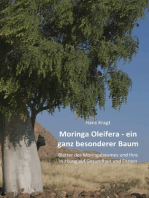 Moringa Oleifera – ein ganz besonderer Baum