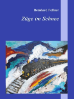 Züge im Schnee