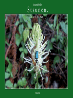 Staunen.: Da steh' ich nun ...