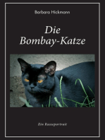 Die Bombay-Katze: Ein Rasseportrait