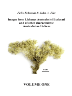 Images from Lichenes Australasici Exsiccati and of other characteristic Australasian Lichens. Volume One