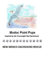 Modoc Point Pups