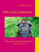 Hier isst Calimero!: Ein sehr vermopstes Tagebuch. Der erste Teil