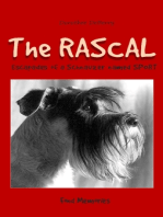 The Rascal: Escapades of a Schnauzer named SPORT