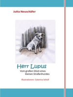 Herr Lupus: Vom großen Glück eines kleinen Straßenhundes