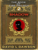Shadow: The Book of Fire Trilogy, #2