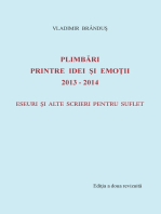 Plimbari printre idei si emotii 2013-2014: Eseuri si alte scrieri pentru suflet