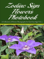Zodiac Sign Flowers Photobook: A Collection Of Flower Photographs For Each Sun Sign Vol. 2