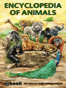 Encyclopedia of Animals
