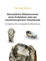 Steinzeitliche Bilddokumente eines Kultplatzes nahe der mecklenburgischen Ostseeküste: Fundgeschichte und genetische Betrachtung