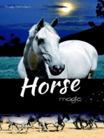 Horse Magic: White Cloud Station, #5