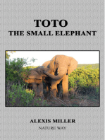 Toto The Small Elephant