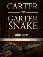 Carter the Garter Snake