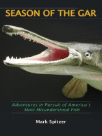 Season of the Gar