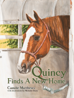 Quincy Finds a New Home