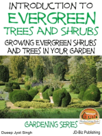 Introduction to Evergreen Trees and Shrubs: Growing Evergreen Shrubs and Trees in Your Garden