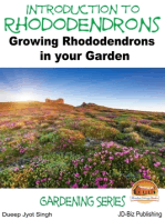 Introduction to Rhododendrons: Growing Rhododendrons in your Garden