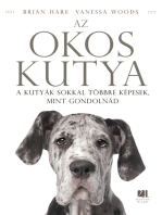 Az okos kutya: A kutyák sokkal többre képesek, mint gondolnád