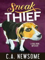 Sneak Thief: Lia Anderson Dog Park Mysteries, #4