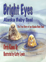 Bright Eyes, Alaska Baby Seal
