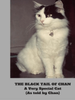 The Black Tail of Chan - A Very Special Cat