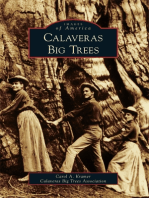 Calaveras Big Trees